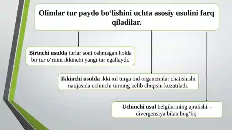 Turlarning paydo bo`lishi 4