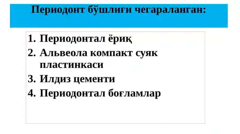 Периодонт 4