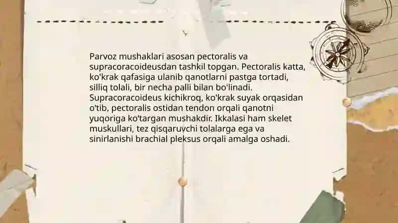 Qushlarning ichki tuzilishi 4