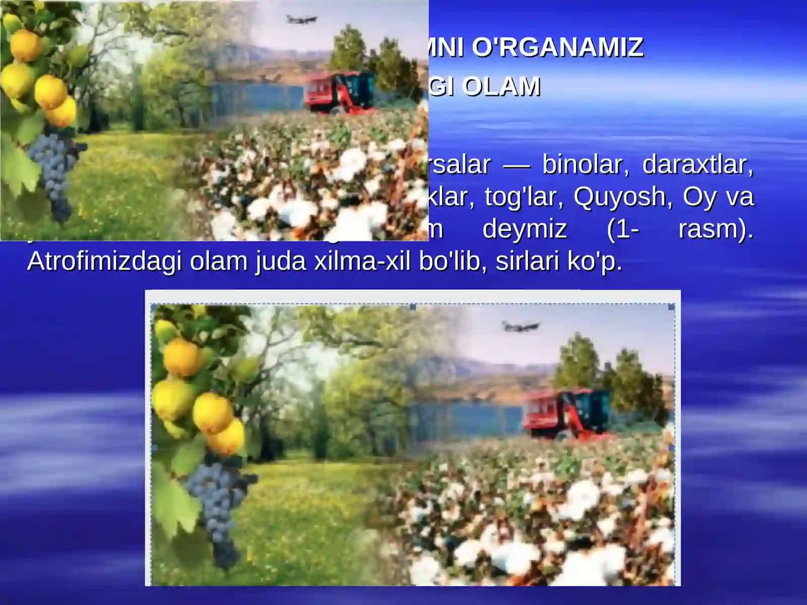 OLTIN QOIDALAR 4