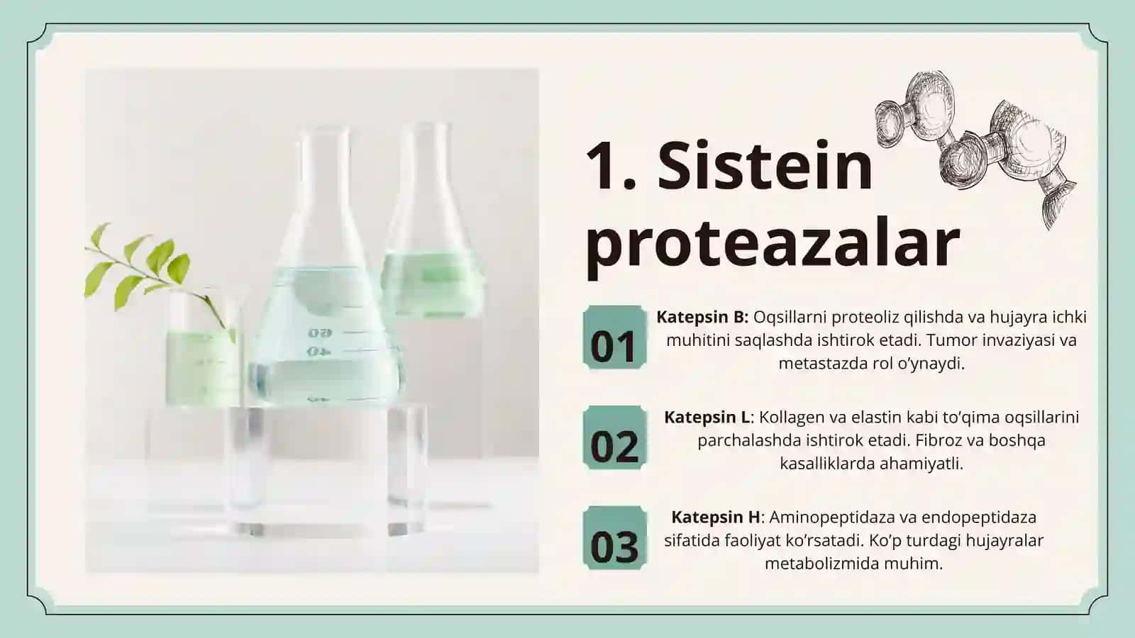 KATEPSINLAR, ULARNING KLINIK AHAMIYATI 4