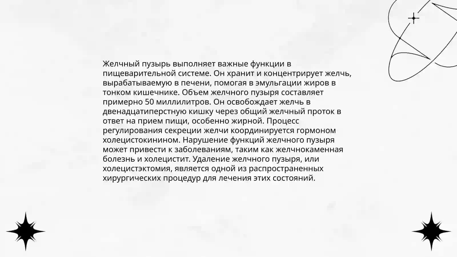 Желчный пузырь 4