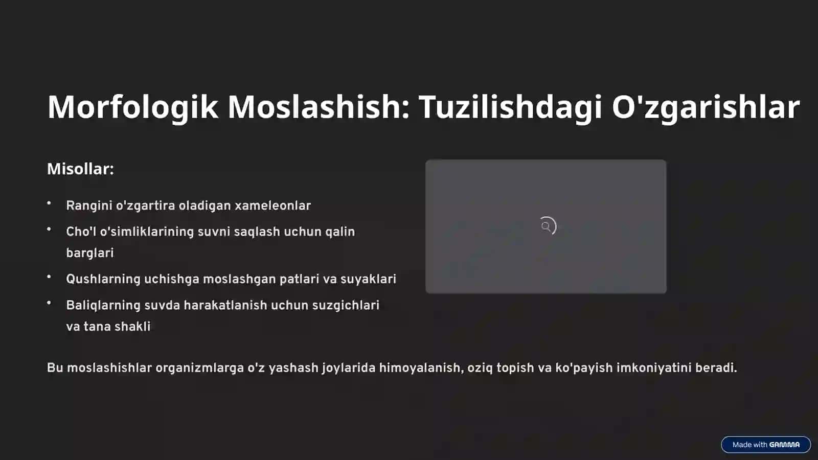 Organizmlarning Moslashishi va Uning Bosqichlari 4