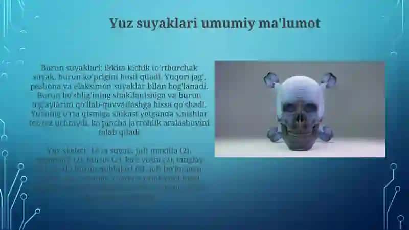 Boshning yuz qismi suyaklari 4