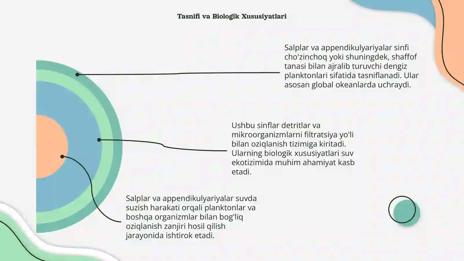 Salplar va Appendikulyariyalar Sinfi 4