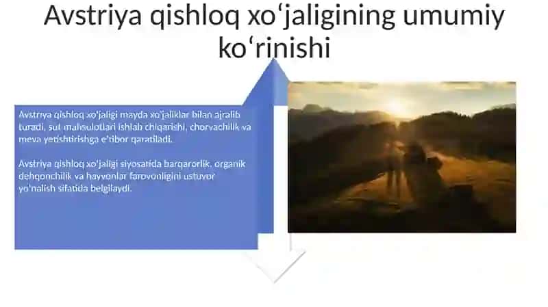 Avstriya qishloq xo'jaligi 4