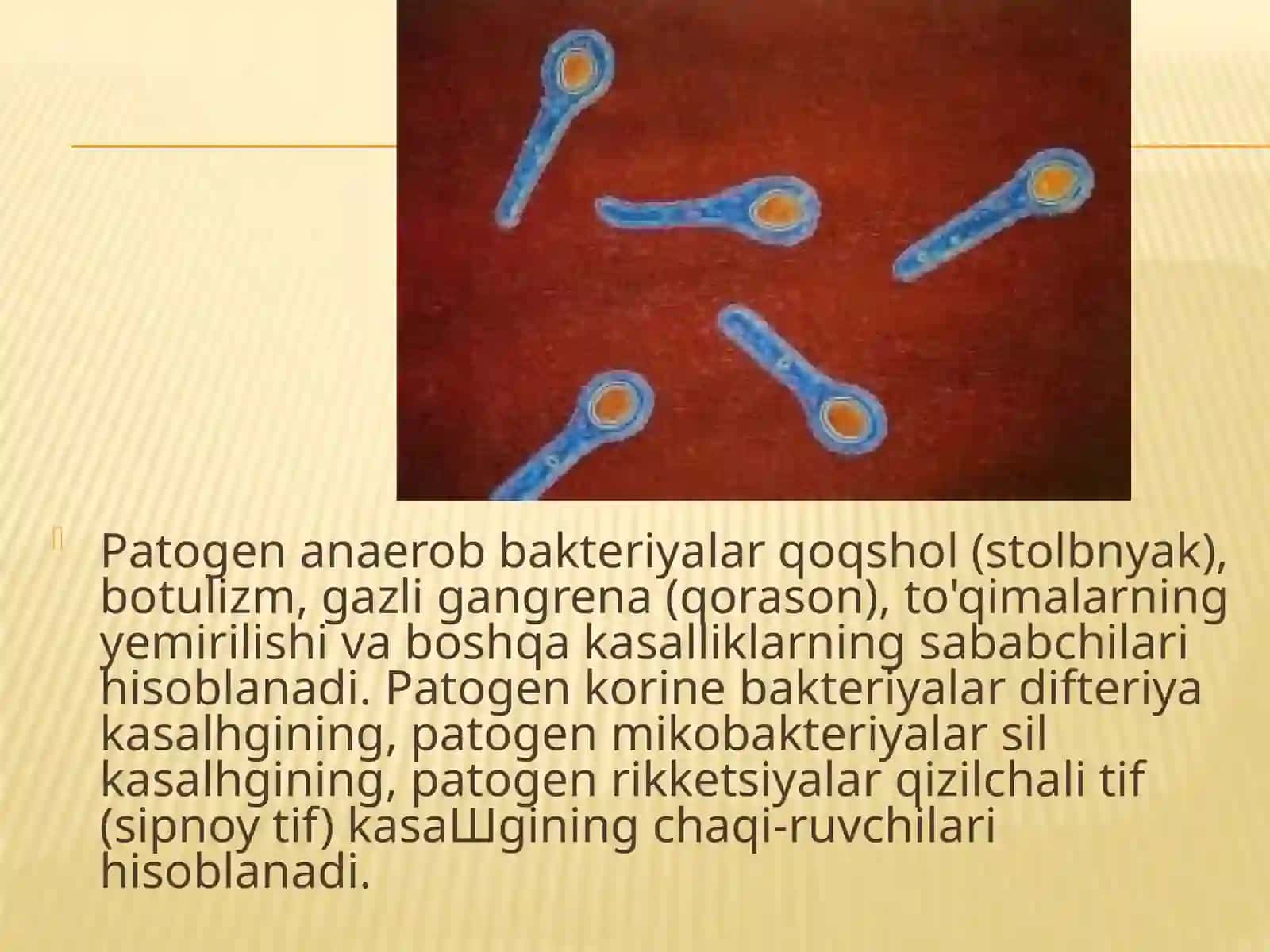 Patogen mikroorganizmlar 4