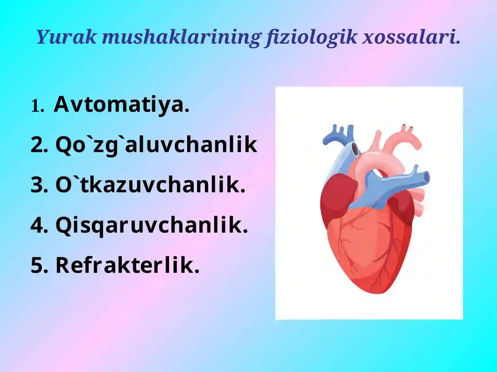 Yurakning gemodinamik vazifasi 4