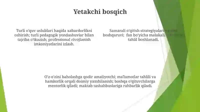 Pedagogikaning rivojlanish bosqichlari 4
