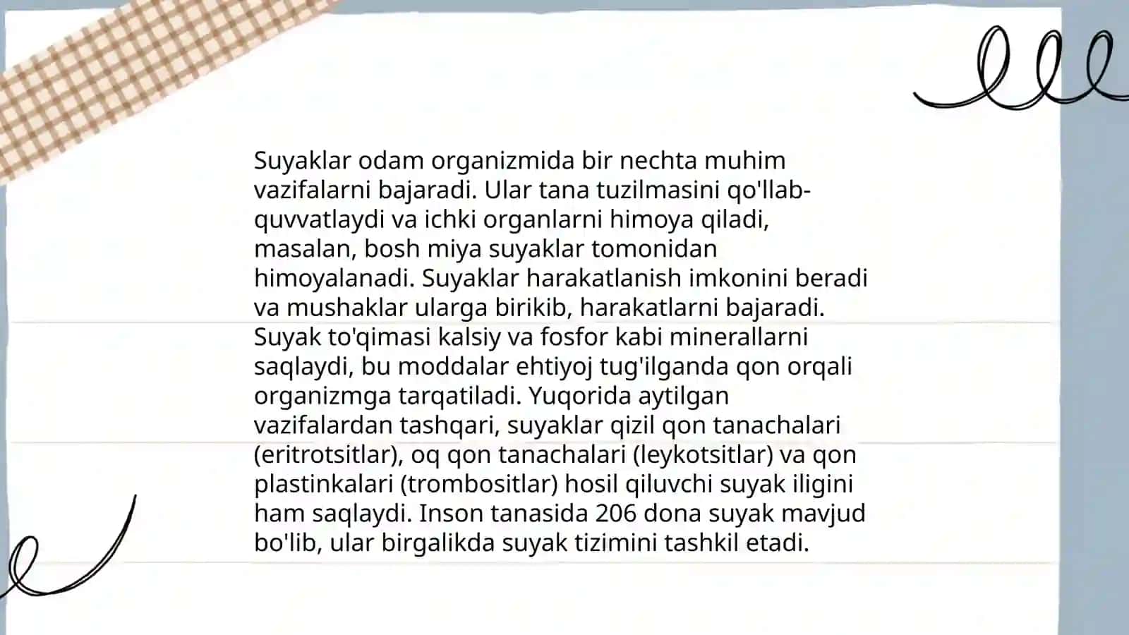 Suyaklar haqida tushuncha 4