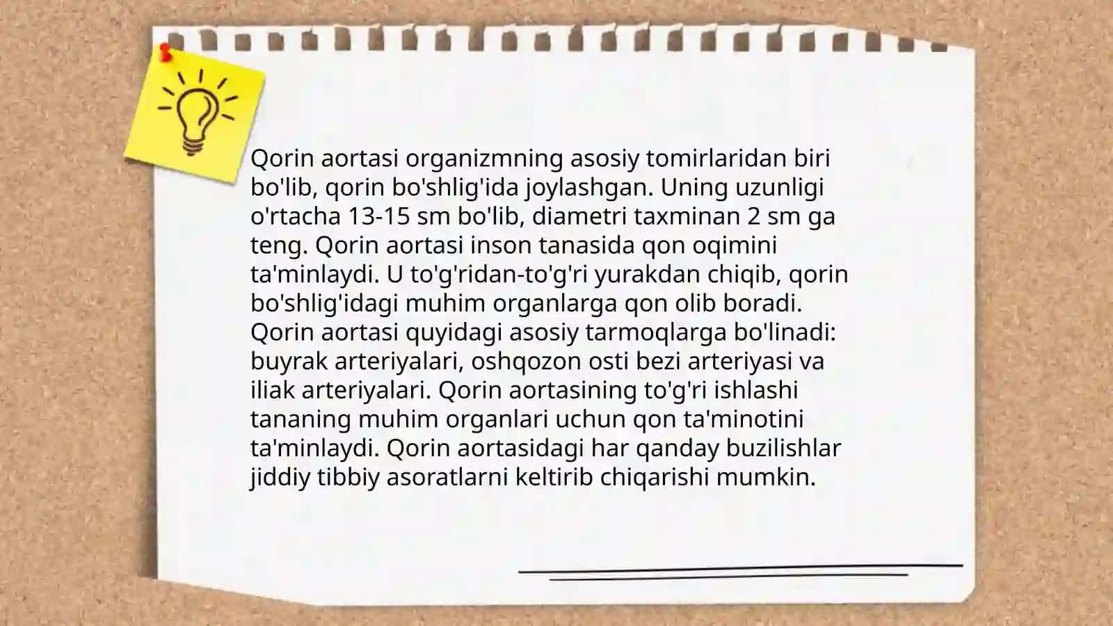 Ko'krak va qorin aortasi 4