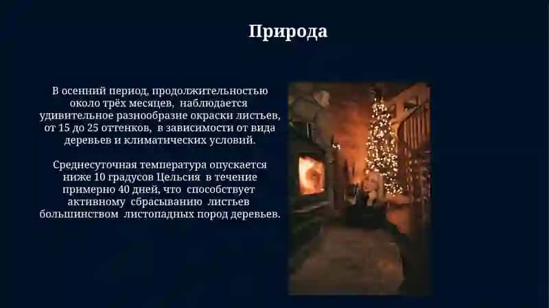 Моё любимое время года 4