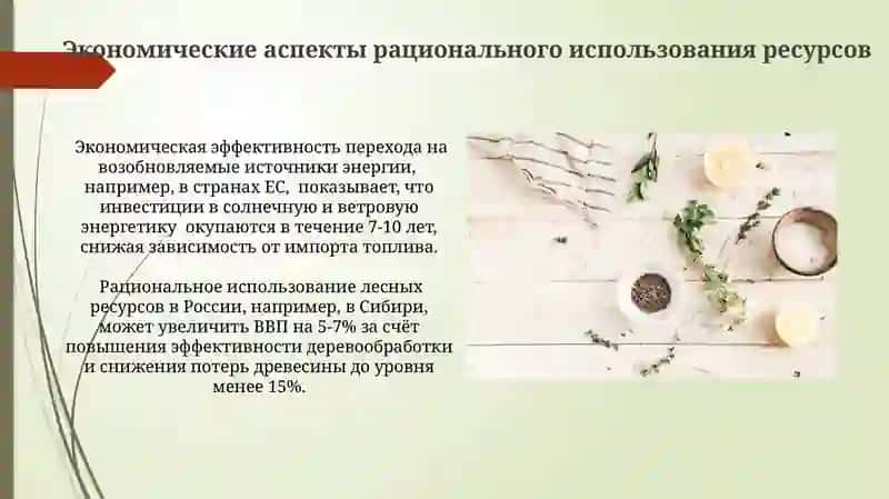 Природные ресурсы и их рациональное использование 4