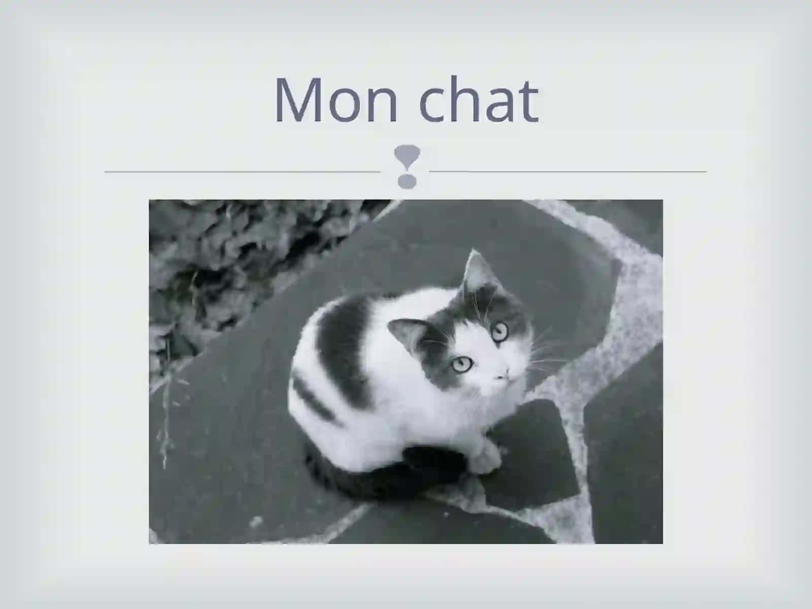 Mon grand-père 4