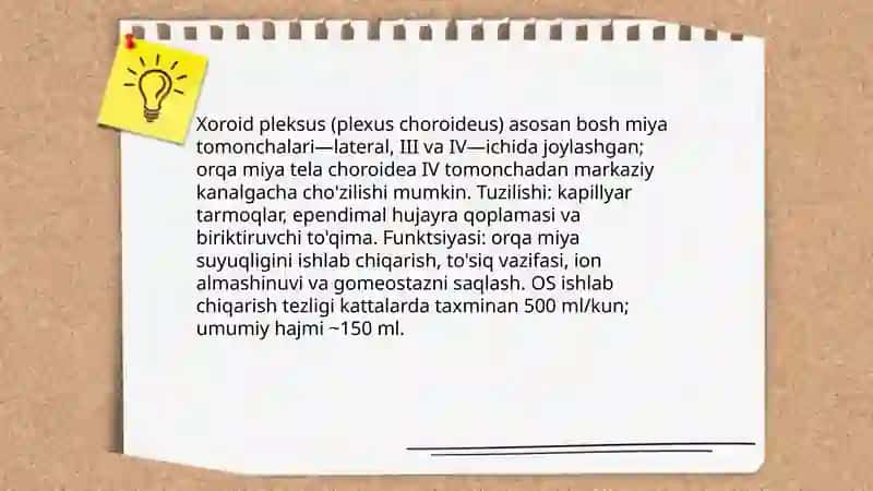 Orqa miya suyuqligi 4