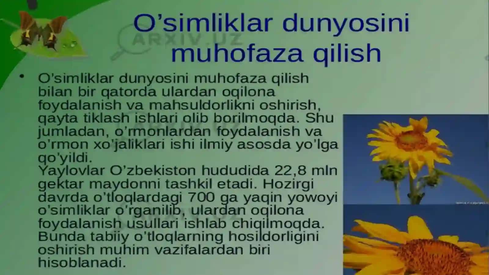 O'simlik 4