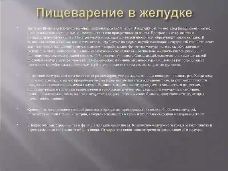 Пищеварение 4