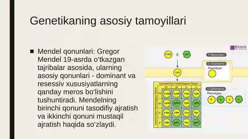 Umumiy genetika 4