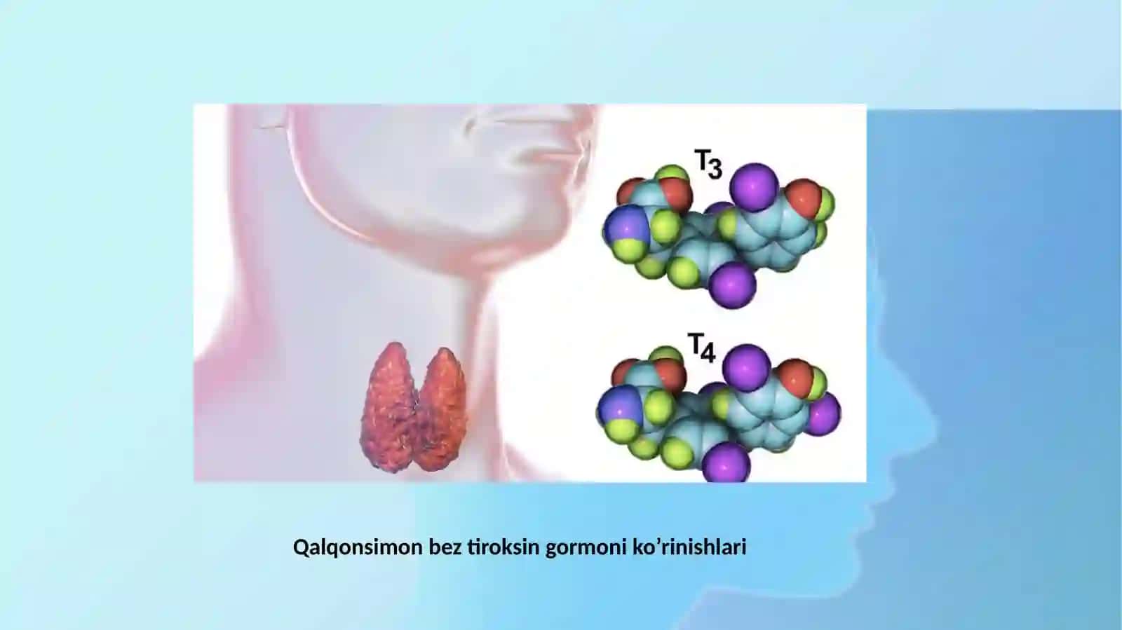 TIROKSIN (T4) GORMONI 4