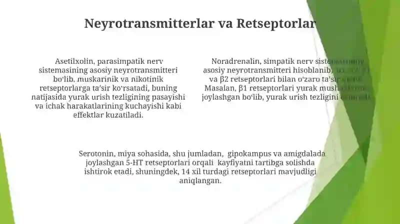 Vegetativ nerv sistemasi 4