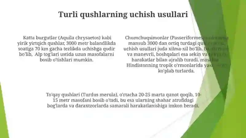 Qushlarning harakatlanish xususiyatlari 4