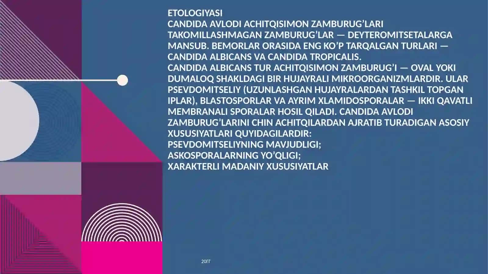 Kandidoz 4