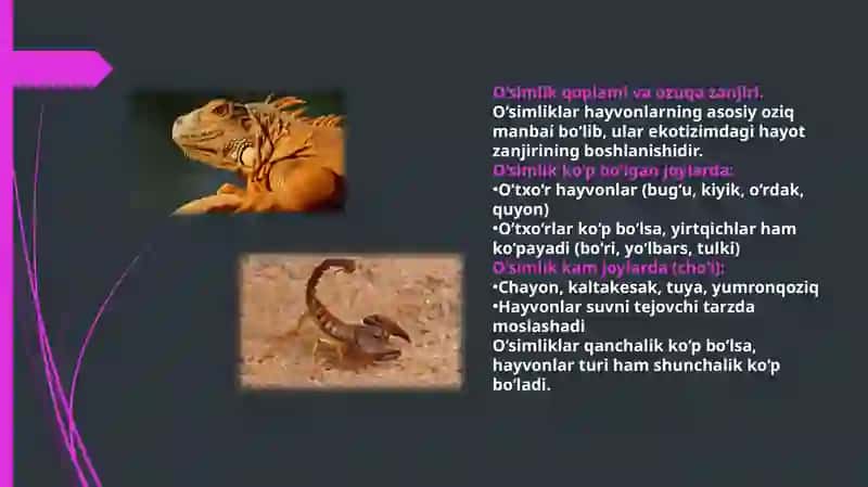 Geografiya va iqtisodiy bilim asoslari 4