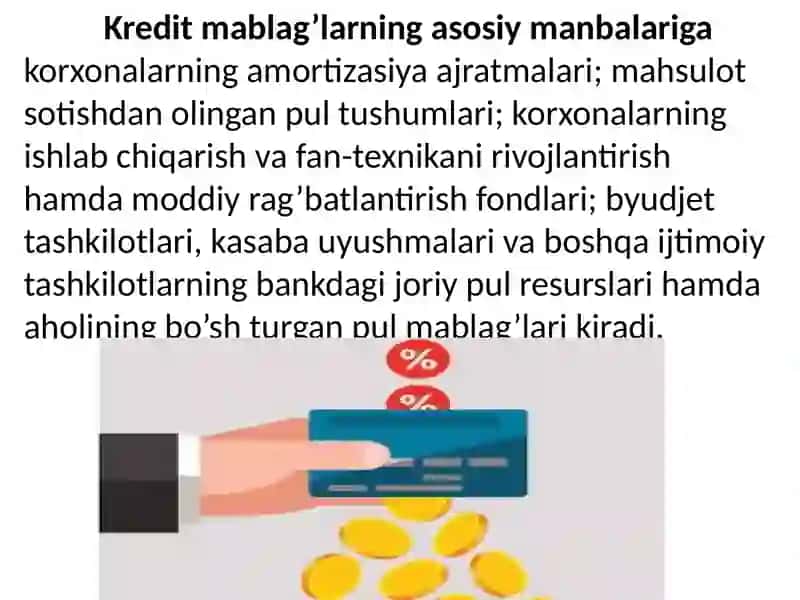 Kreditvabanktizimi.Pulmuomalasi 4