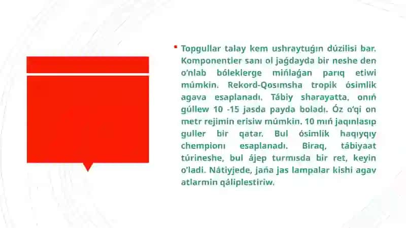 Apiwayı ham quramalı topguller 4