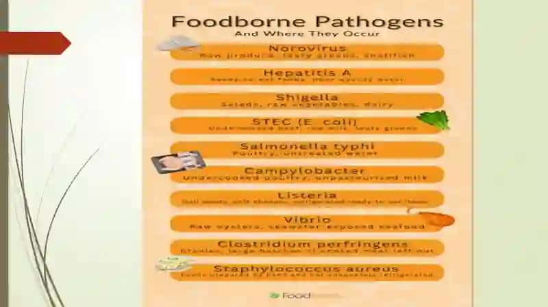 FOOD SAFETY AND HEALTH RISKS 4