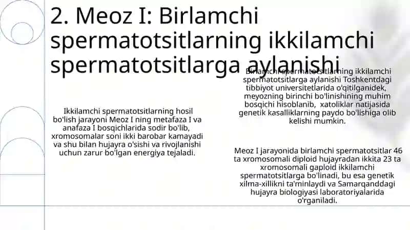 Spermatogenez va ovogenez etaplari 4