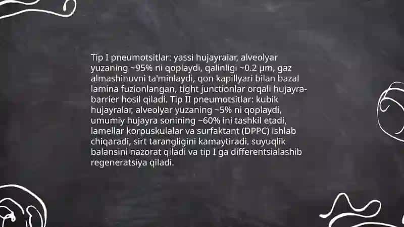Hav va Qon To'sig'ining Tuzilishi, Vazifalari va Patologiyasi 4