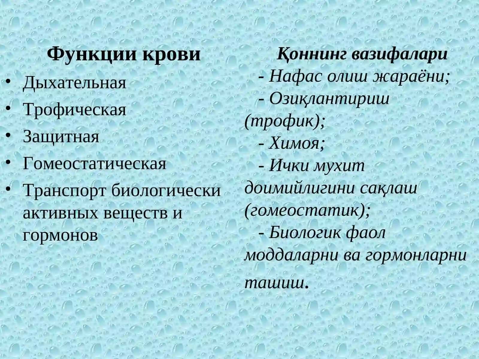 Морфология клеток лейкоцитарного ряда 4
