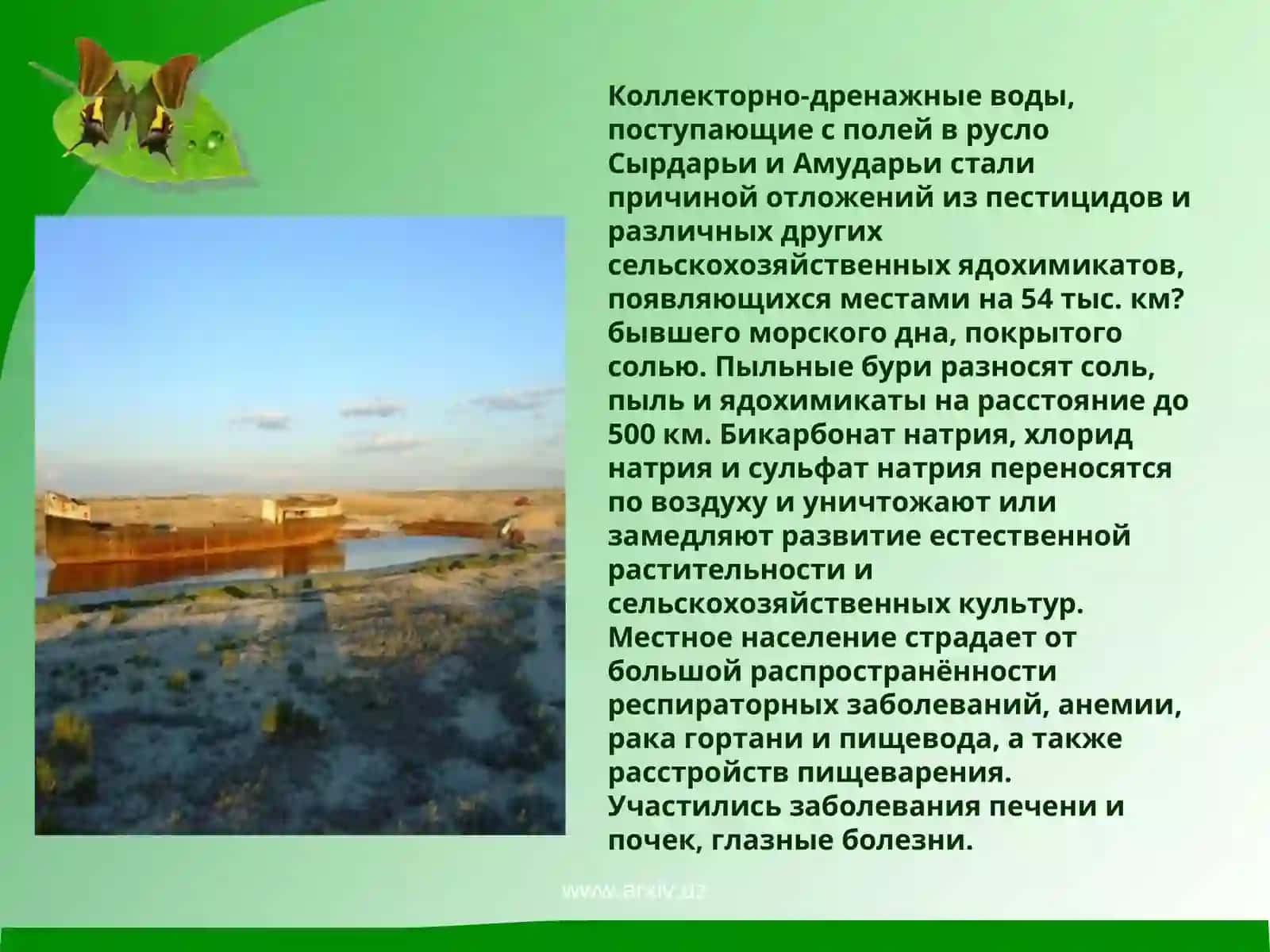 Аральское море и причины его гибели 4