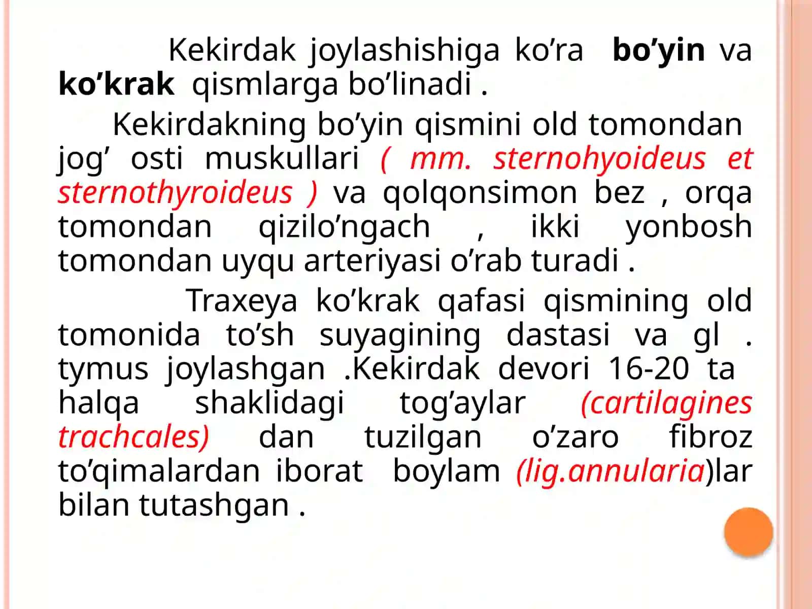 Kekirdak ANATOMIYA VA FIZALOGIYASI 4