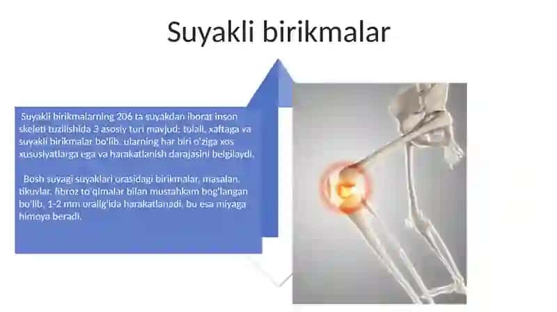 Suyaklarning birikmalari turlari 4