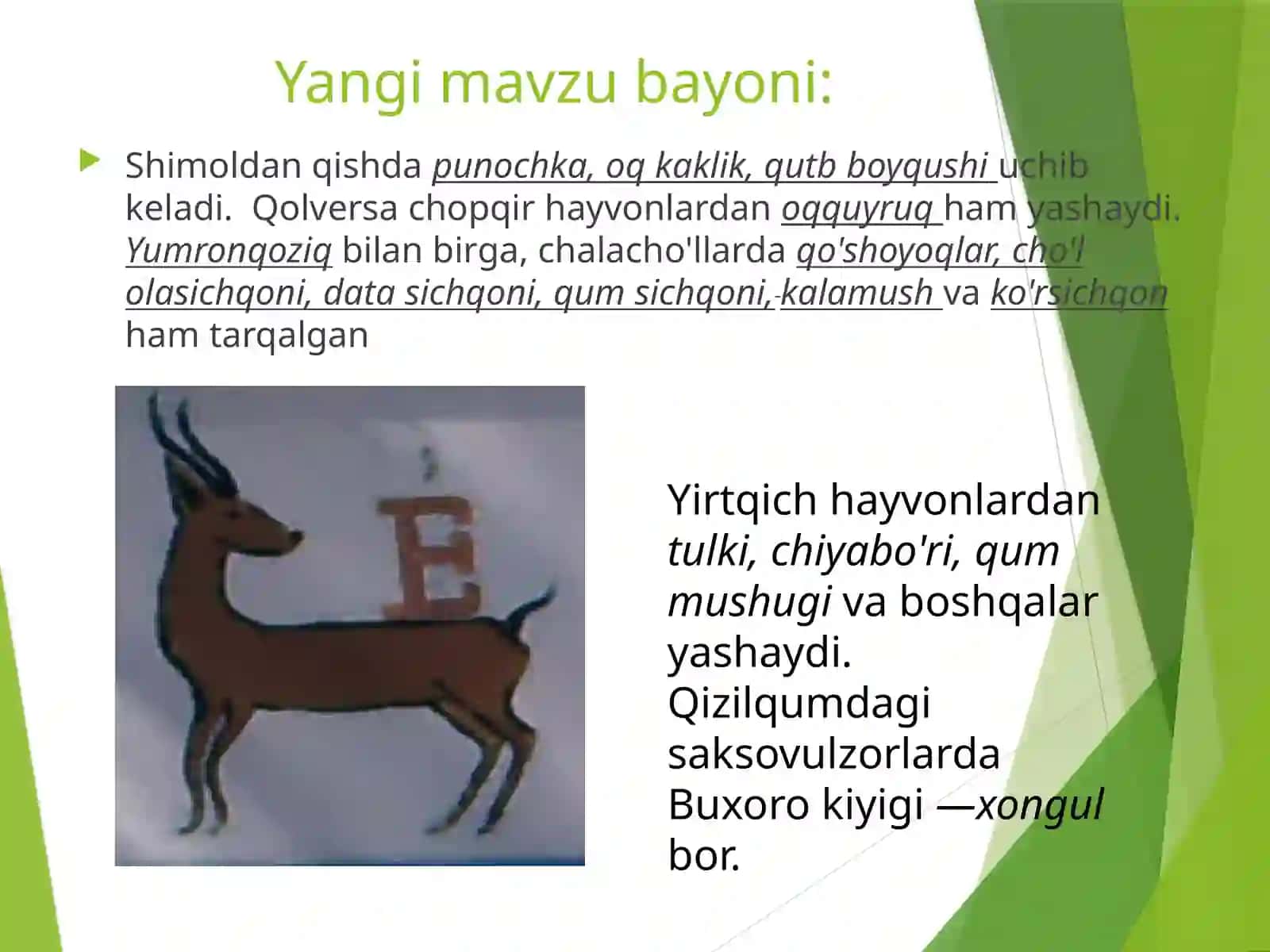 Hayvonot dunyosi birsoatlik dars ishlanmasi 4