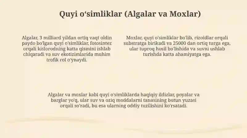 O'simliklarning hayotiy shakllari 4