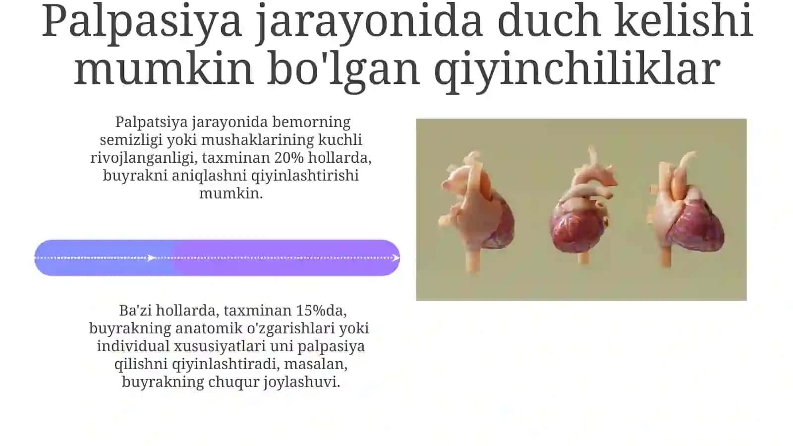 Palpasiya va perkussiya texnikasi 4