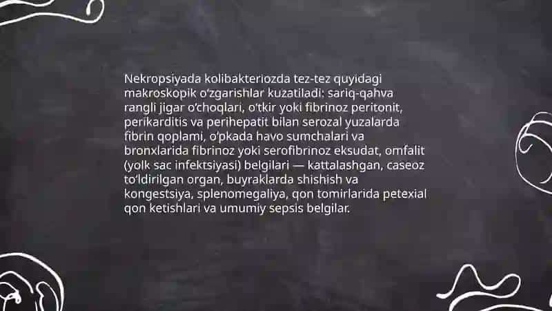 Parrandalarda kolibakterioz kasalliklari diagnostikasi 4