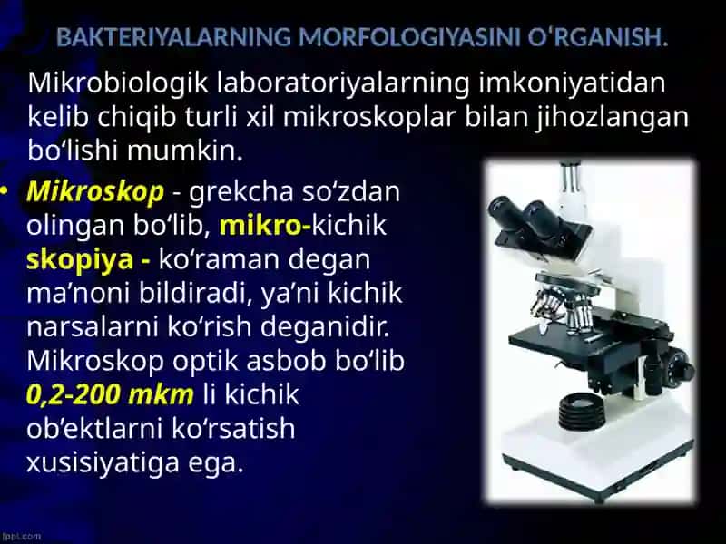 BAKTERIYALARNING MORFOLOGIYASINI O‘RGANISH 4