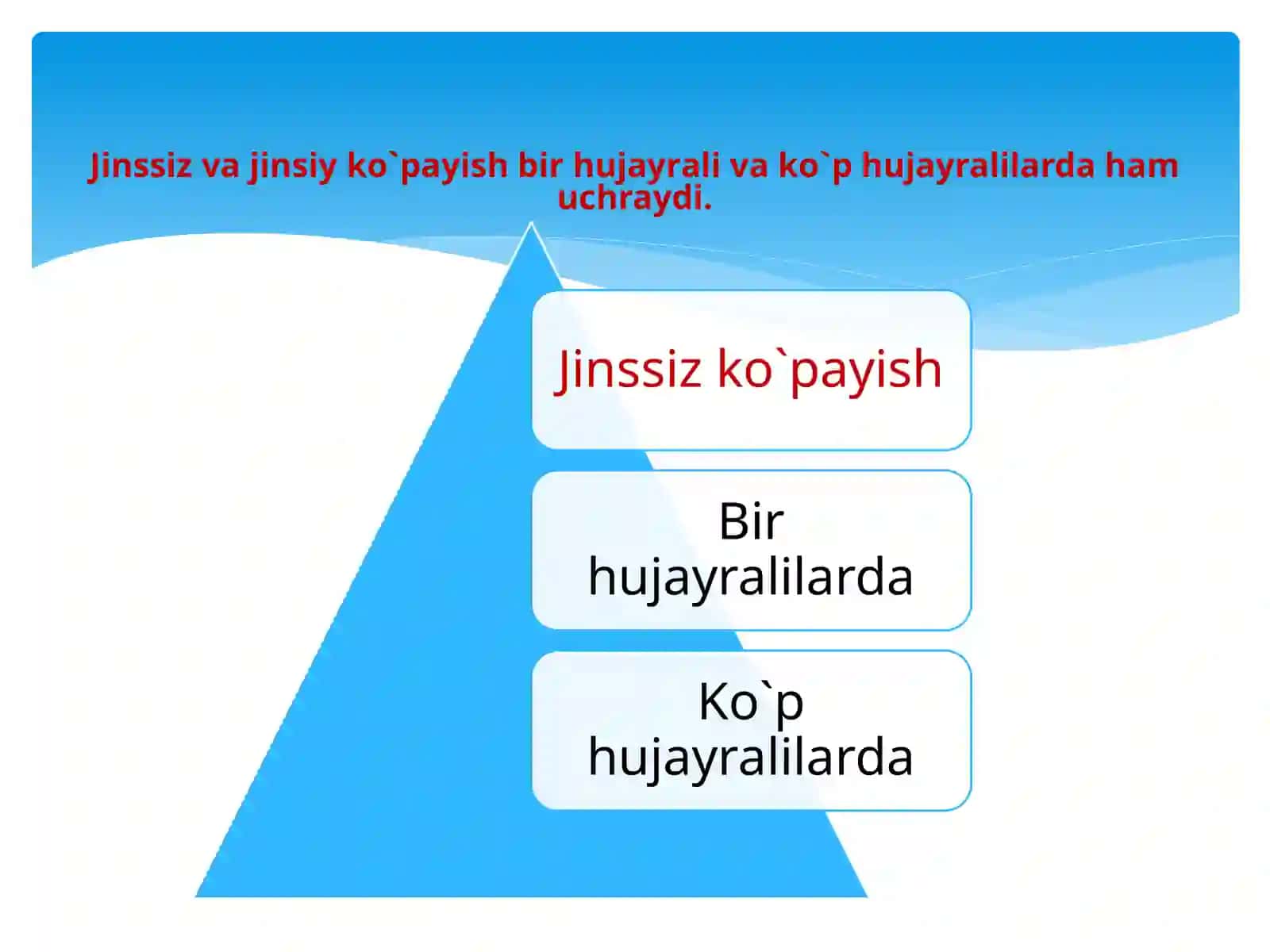 Organizmlarning jinssiz ko`payishi 4