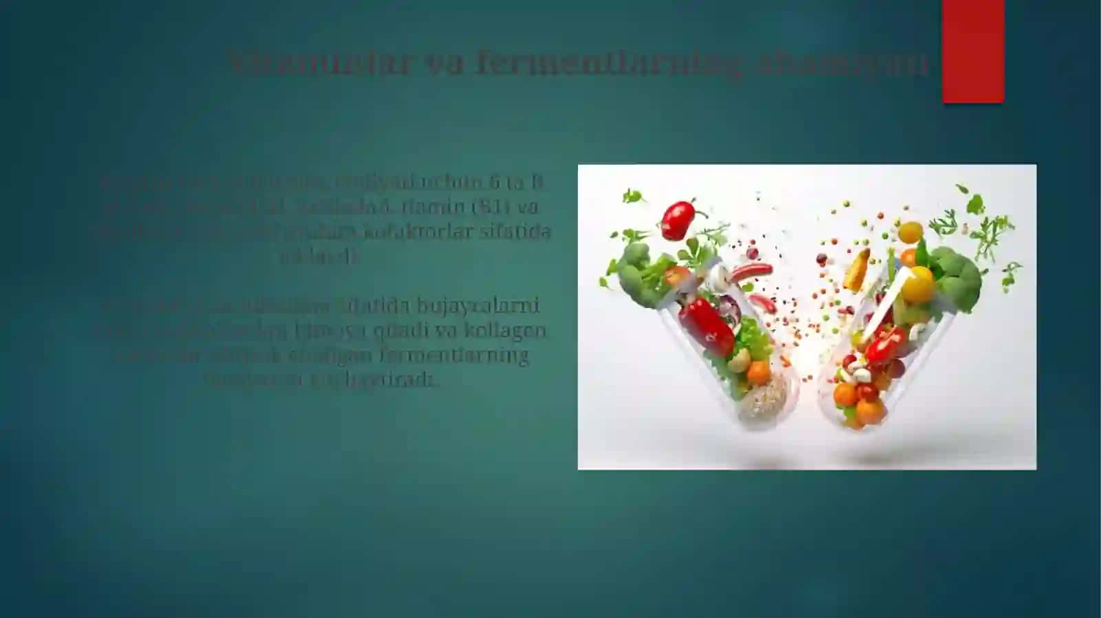 Vitaminlar va fermentlar 4