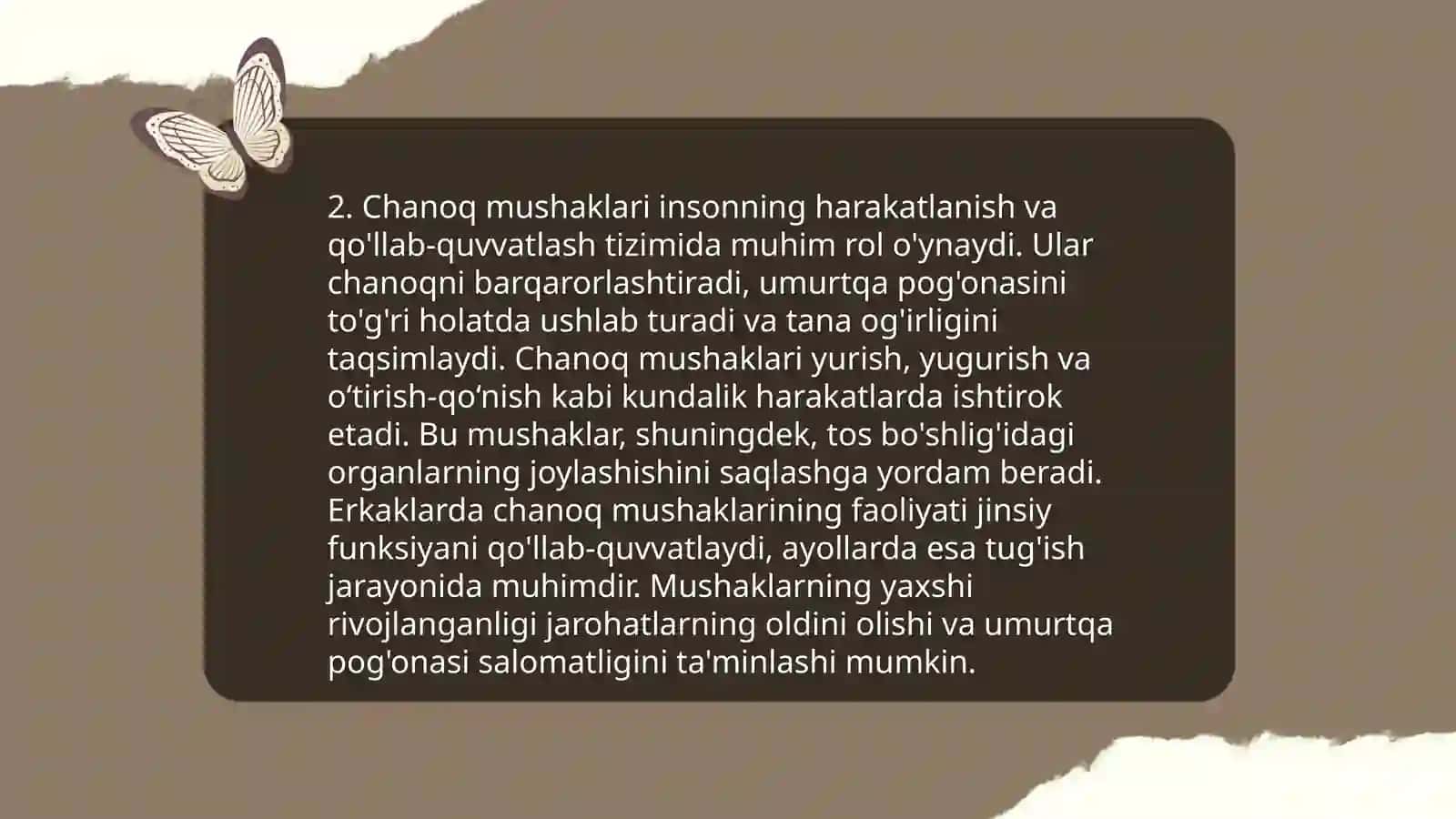 Chanoq mushaklari anatomiyasi 4