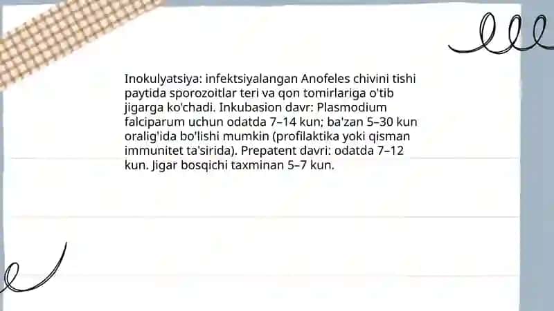 Plasmodium Falciparum 4