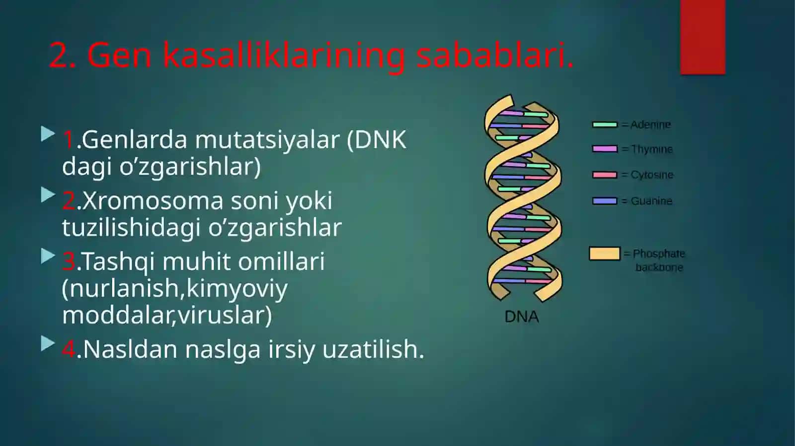Odamgenkasalliklari, Aholiga tibbiy-genetik yordam 4