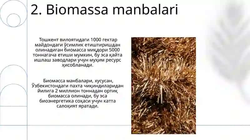 Biomassaning tushunchasi 4