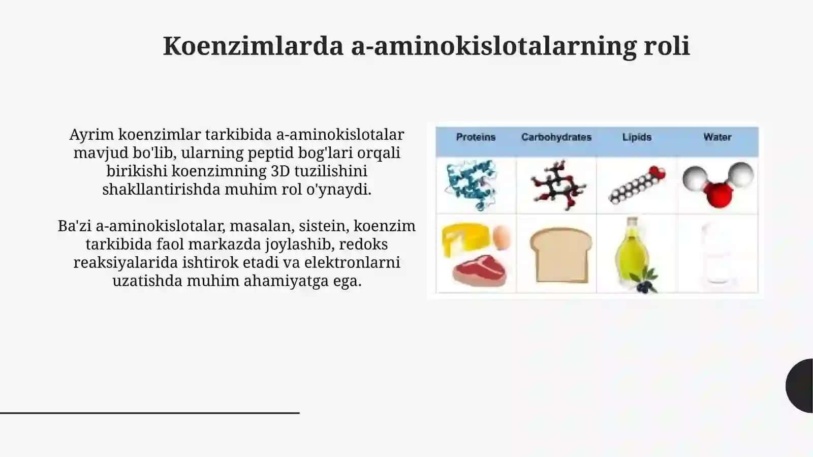Amino Kislotalar: Asosiy Vazifalar 4