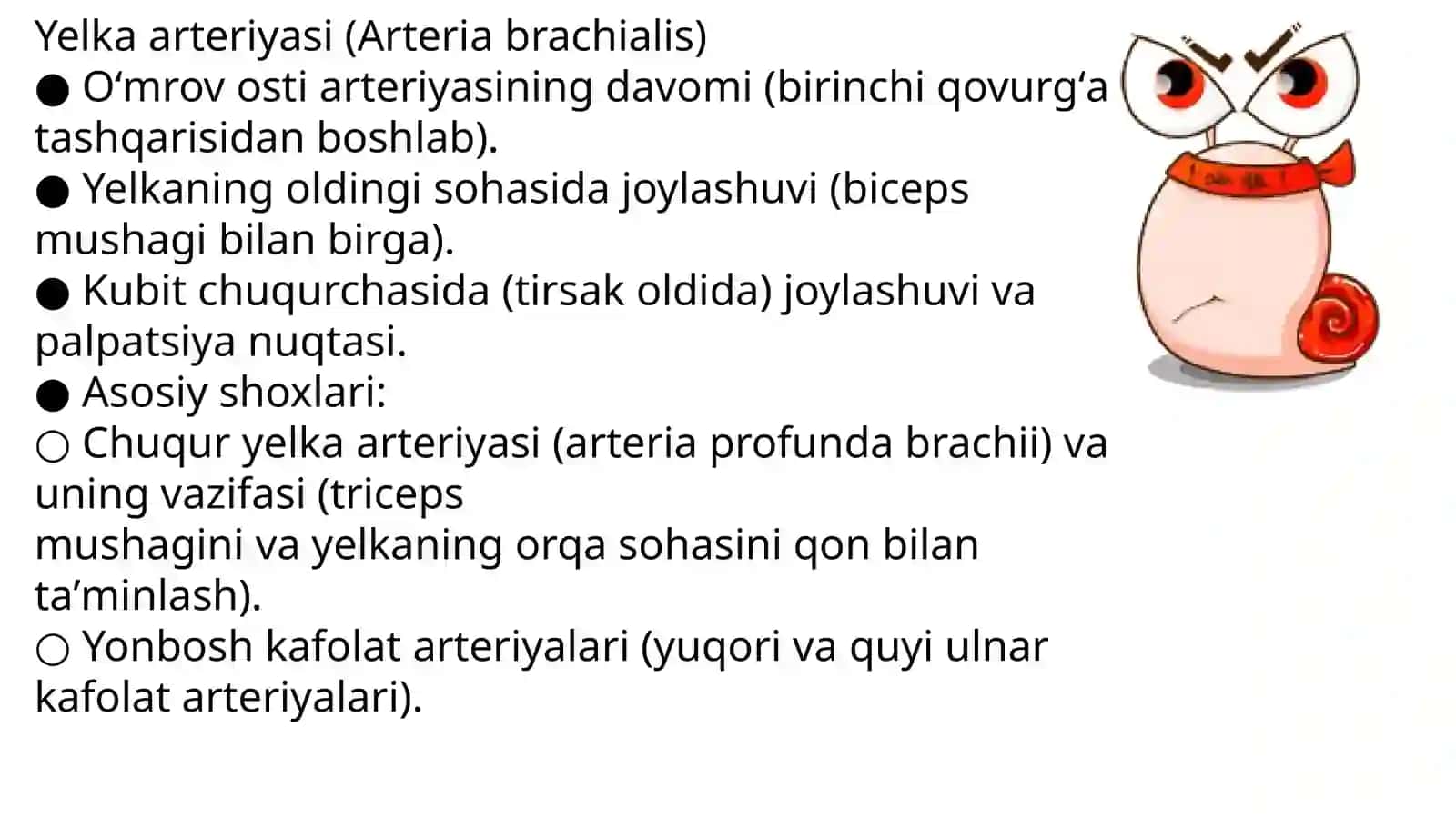 Qoʻlarteriyasi 4