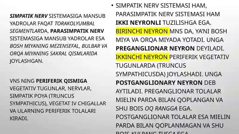 Vegetativ nerv sistemasi 4